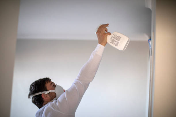 Best Attic Mold Remediation in Canterwood, WA