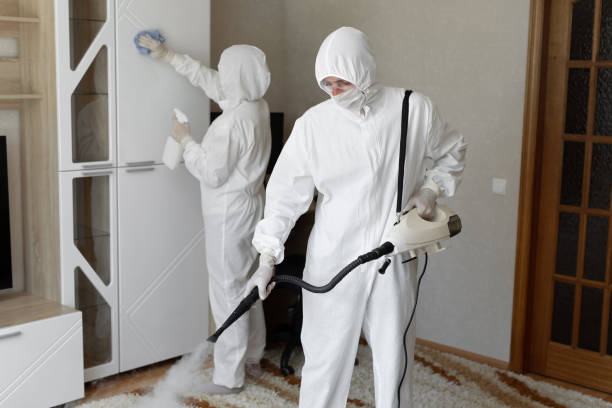 Best Emergency Mold Remediation in Canterwood, WA