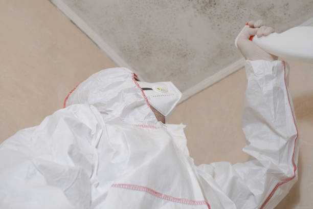 Best DIY Mold Remediation Support Services in Canterwood, WA